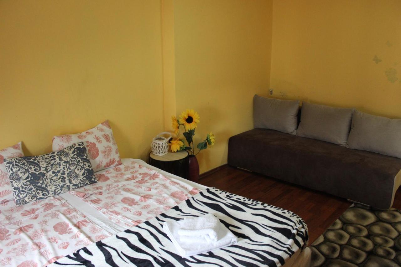 Vitoshka Biggest Apartment 소피아 외부 사진